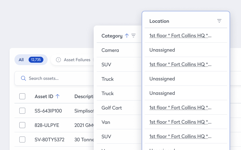 Customizable asset attributes 